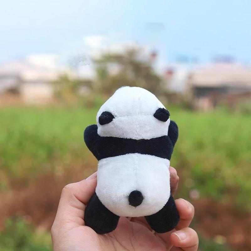 Panda-Cartoon-Anhänger Fahrrad – Mountain Biking Cartoon Bewertung und Preis