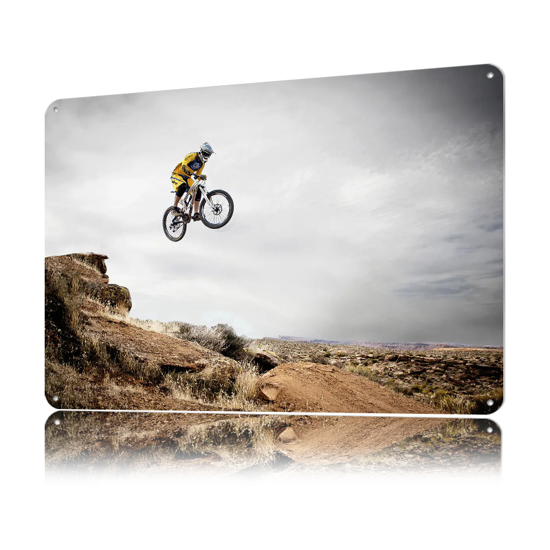 Mountainbike 3D-Blechposter, p – Mountain Biking Europe Bewertung und Preis